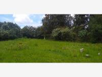 Terreno en venta en San Jerónimo, Aculco — foto 3 de 11