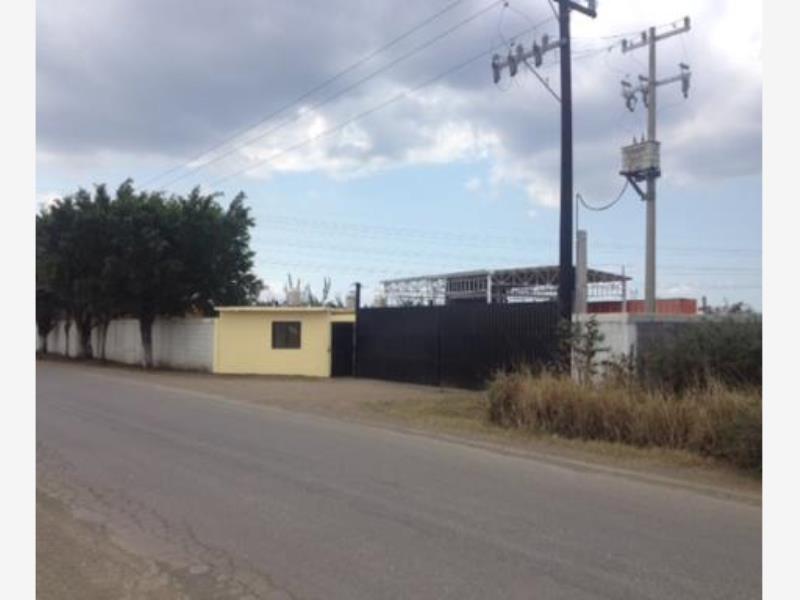 Terreno en renta en Las Blancas, Altamira — foto 1 de 7