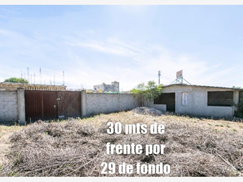 Imagen 3