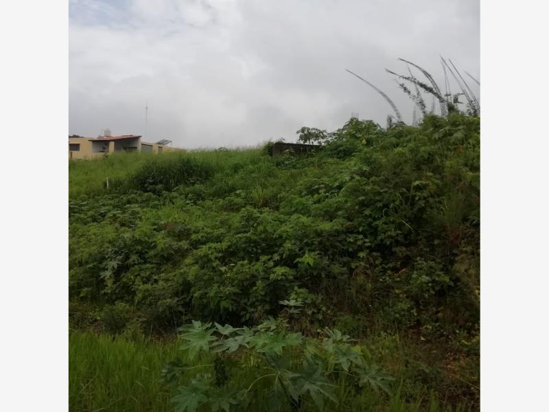 Terreno en venta en Ocotillo, Cuauhtémoc — foto 1 de 9
