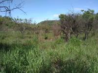 Terreno en venta en Plan de Ayala, Tuxtla Gutiérrez — foto 2 de 11