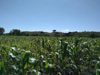 Terreno en venta en Ocozocoautla de Espinosa Centro, Ocozocoautla de Espinosa, Chiapas