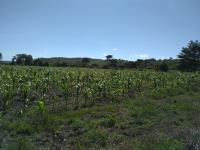 Terreno en venta en Ocozocoautla de Espinosa Centro, Ocozocoautla de Espinosa — foto 2 de 10