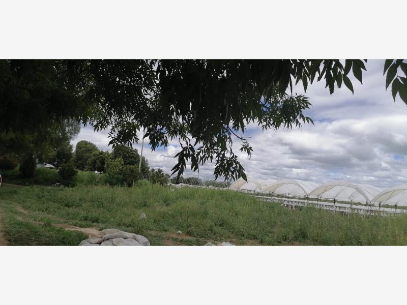 Terreno en venta en Cerritos Silao (Rosendo Cervantes), Silao de la Victoria — foto 1 de 11