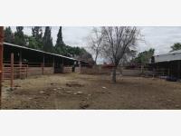 Terreno en venta en Cerritos Silao (Rosendo Cervantes), Silao de la Victoria — foto 2 de 11