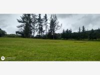 Terreno en venta en San Antonio Arroyo Zarco, Aculco — foto 3 de 23