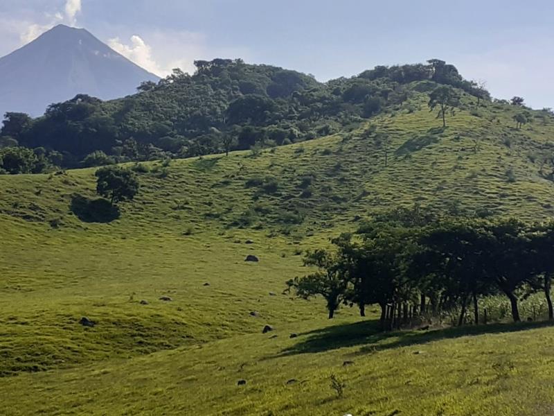 Terreno en venta en Cofradia de Suchitlan, Comala
