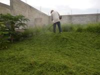 Terreno en venta en Temixco Centro, Temixco — foto 2 de 6