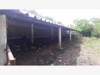 Finca-Rancho en venta en Boqueron, Paso de Ovejas — foto 2 de 5