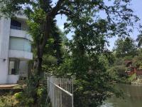 Casa en venta en Jardines de las Animas, Xalapa — foto 2 de 22