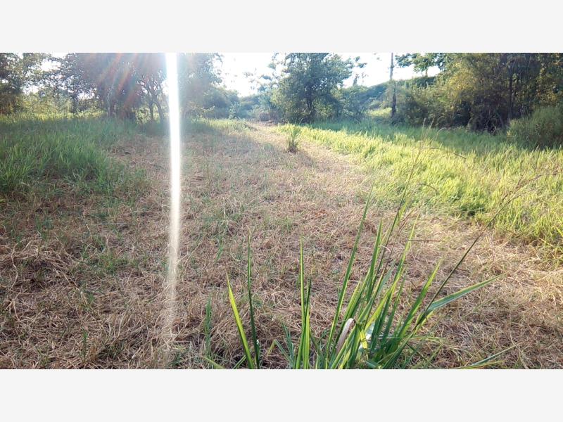 Terreno en venta en Faja de Oro, Coatzintla — foto 1 de 21