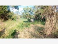 Terreno en venta en Faja de Oro, Coatzintla — foto 2 de 21