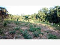 Terreno en venta en Faja de Oro, Coatzintla — foto 3 de 21