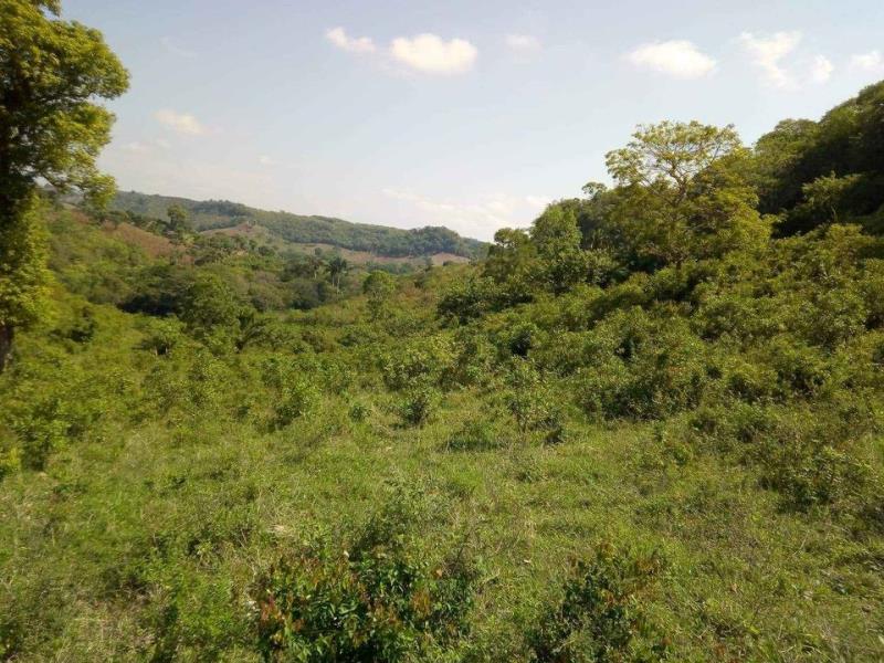 Terreno en venta en La Concepción, Tihuatlán — foto 1 de 2