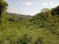 Terreno en venta en La Concepción, Tihuatlán, Veracruz de Ignacio de la Llave Terreno en venta en La Concepción, Tihuatlán, Veracruz de Ignacio de la Llave
