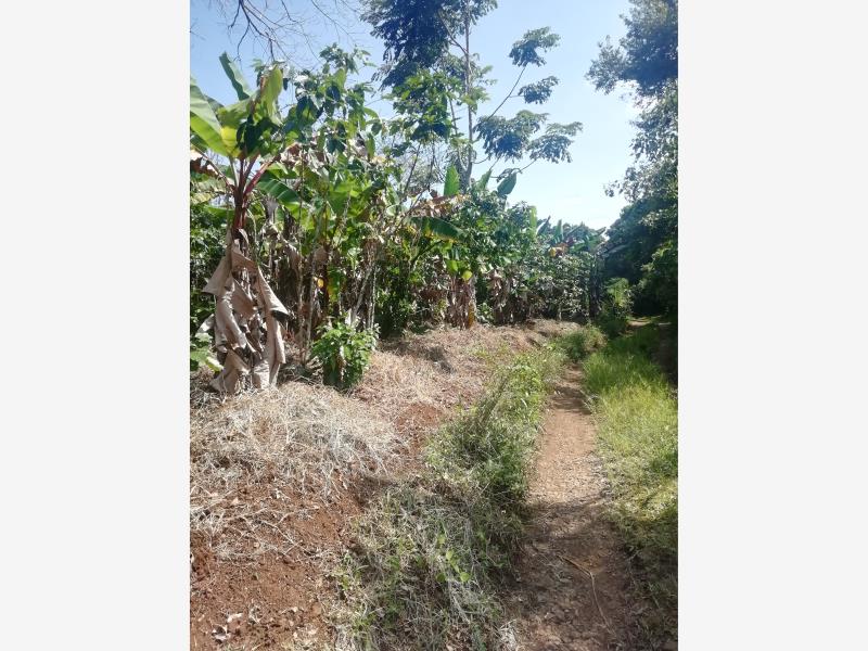 Terreno en venta en Monte Salas, Fortín — foto 1 de 12