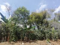 Terreno en venta en Monte Salas, Fortín — foto 3 de 12