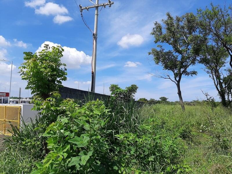 Terreno en venta en Cedral, Medellín de Bravo — foto 1 de 11