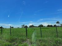 Terreno en venta en Salinas, Alvarado — foto 2 de 17