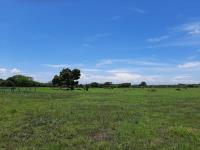 Terreno en venta en Salinas, Alvarado — foto 3 de 17