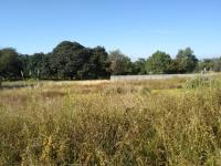 Terreno en venta en San Andres Ahuashuatepec, Tzompantepec — foto 3 de 9