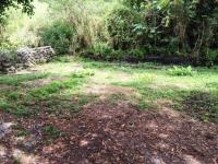 Terreno en venta en Palmira Tinguindin, Cuernavaca — foto 2 de 3