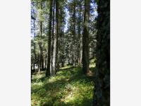 Terreno en venta en Mineral del Monte Centro, Mineral del Monte — foto 3 de 8