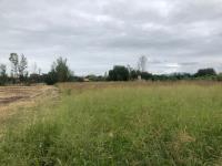 Terreno en venta en La Punta, Apaseo El Grande — foto 2 de 5