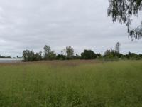 Terreno en venta en La Punta, Apaseo El Grande — foto 3 de 5