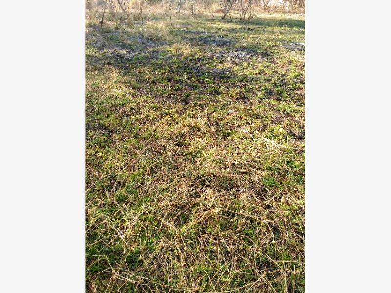 Terreno en venta en Centro, Yautepec — foto 1 de 11
