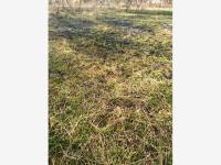 Terreno en venta en Centro, Yautepec, Morelos