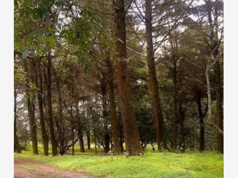 Terreno en venta en Suchitlan, Comala