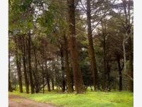 Terreno en venta en Suchitlan, Comala, Colima