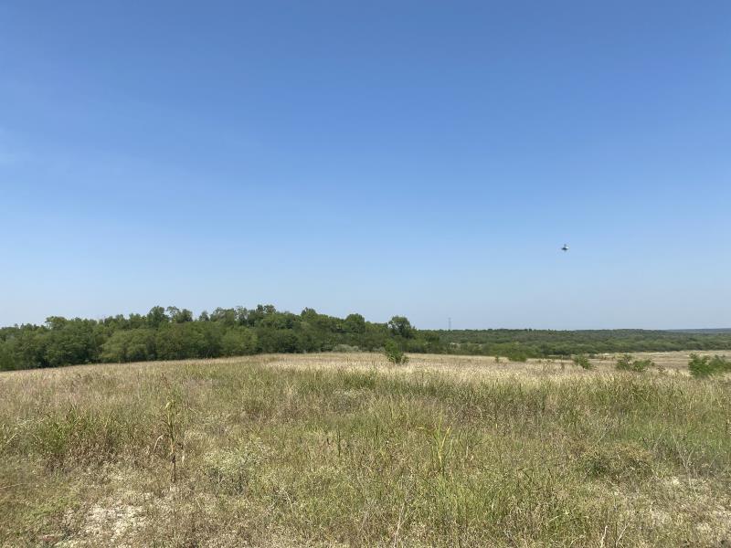 Terreno en venta en Los Palmitos, Cadereyta Jiménez — foto 1 de 10