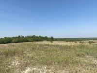 Terreno en venta en Los Palmitos, Cadereyta Jiménez — foto 3 de 10