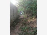 Terreno en venta en Benito Juarez, Manzanillo — foto 2 de 5