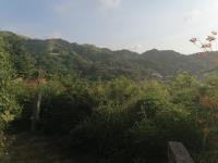 Terreno en venta en Benito Juarez, Manzanillo — foto 3 de 5