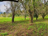 Terreno en venta en La Quinta San Martín, San Cristóbal de las Casas — foto 3 de 7