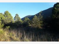 Terreno en venta en Los Lirios, Arteaga — foto 2 de 7