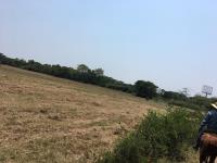 Finca-Rancho en venta en Bajos del Jobo (Puente Moreno), Veracruz — foto 2 de 7
