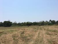 Finca-Rancho en venta en Bajos del Jobo (Puente Moreno), Veracruz — foto 3 de 7