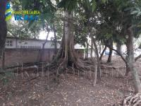 Terreno en venta en Las Granjas, Poza Rica de Hidalgo — foto 2 de 7