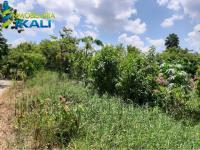 Terreno en venta en Antonio M. Quirasco, Tihuatlán — foto 2 de 7
