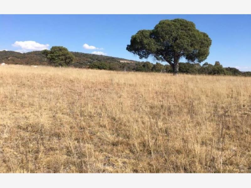 Terreno en venta en Rancho San Diego, Puebla — foto 1 de 5