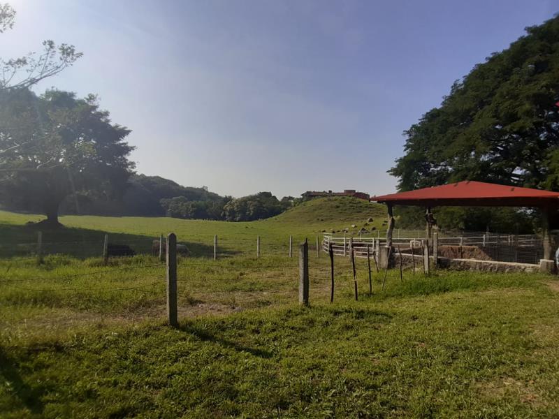 Terreno en venta en Tabachines, Villa de Álvarez — foto 1 de 2