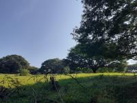 Terreno en venta en Tabachines, Villa de Álvarez — foto 2 de 2