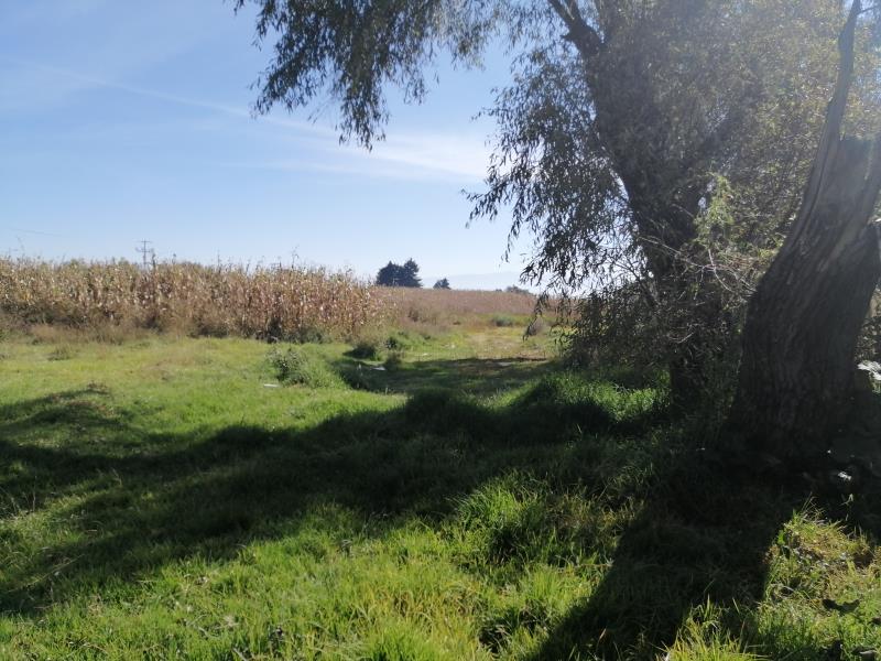 Terreno en venta en San Miguel Totocuitlapilco, Metepec — foto 1 de 5