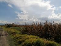 Terreno en venta en San Miguel Totocuitlapilco, Metepec — foto 3 de 4