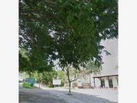 Finca-Rancho en venta en Suchitlan, Comala, Colima