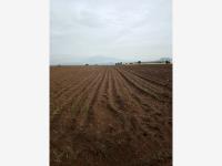 Terreno en venta en Chipilo de Francisco Javier Mina, San Gregorio Atzompa — foto 3 de 6